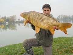 carpfishing 100%